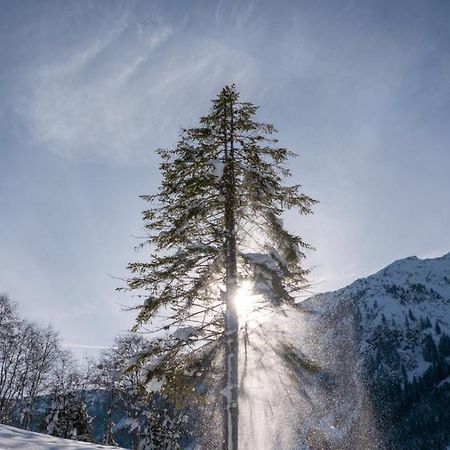Silber Lodge Im Wiesenstein Ауффах Екстер'єр фото