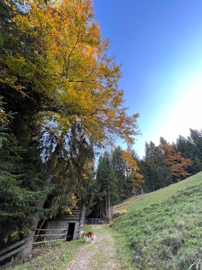 Silber Lodge Im Wiesenstein Ауффах Екстер'єр фото